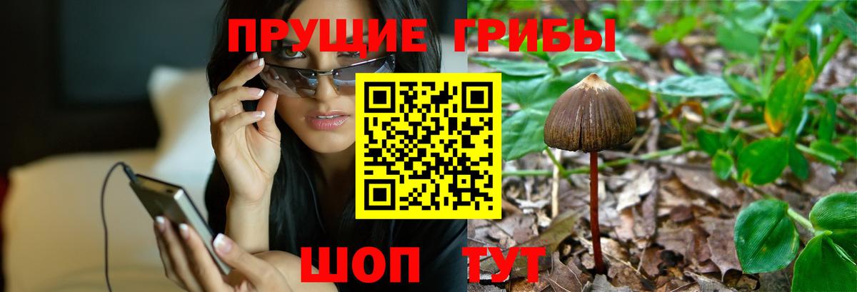 Псилоцибиновые грибы мицелий  Галлюциногенные грибы Cubensis  Вход с VPN  Тавда 